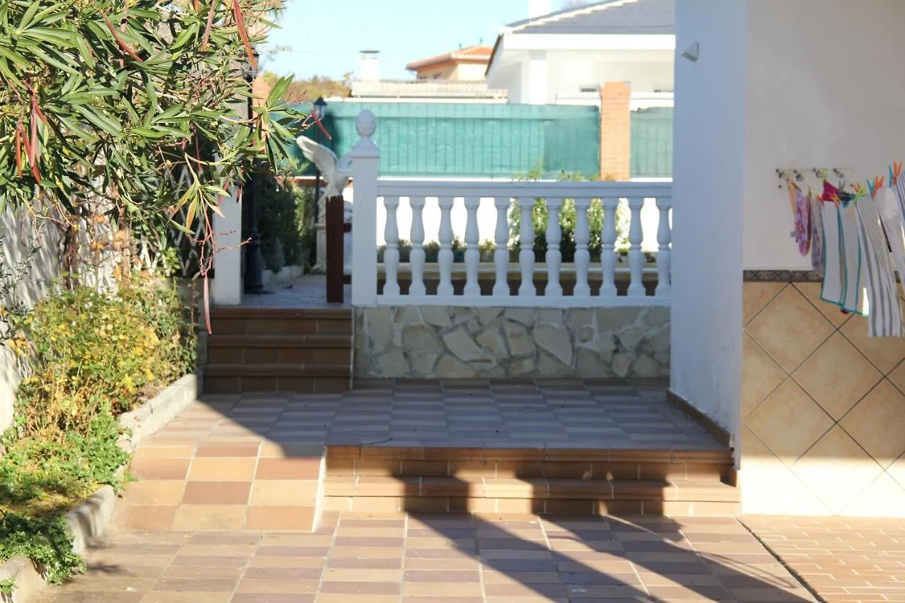 Studio Tropical Cullar Vega